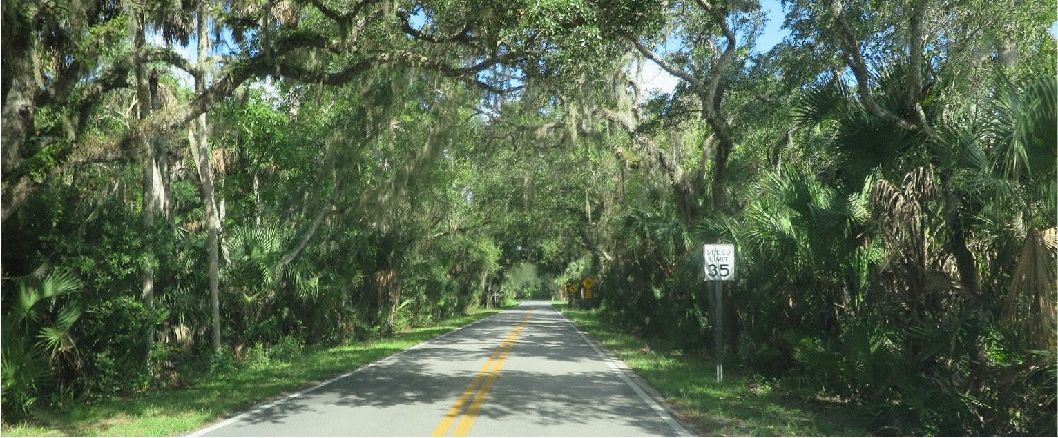 Ormond Scenic Loop and Trail